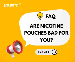 Are Nicotine Pouches Bad For You