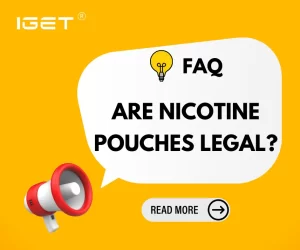 Are Nicotine Pouches Legal