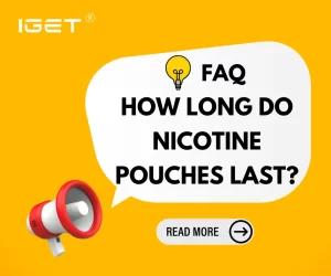 How Long Do Nicotine Pouches Last