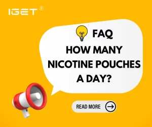 How Many Nicotine Pouches A Day
