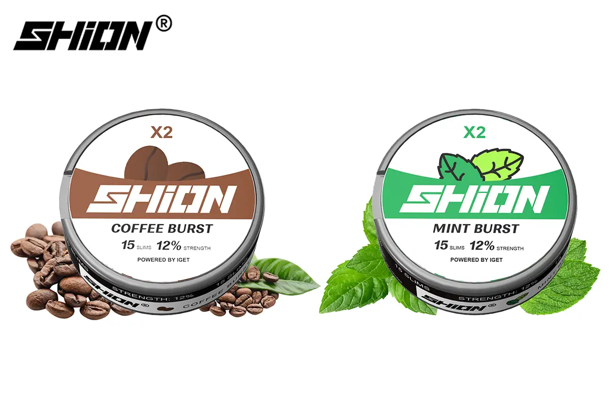 IGET SHION x2 Nicotine Pouch product show