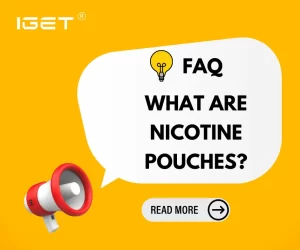 What Are Nicotine Pouches