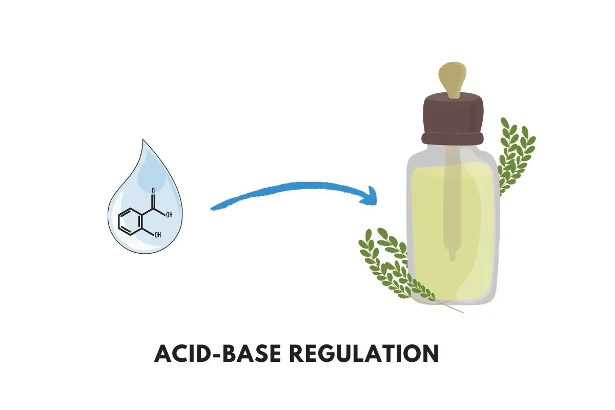 iget legend ingredients: acid base regulation display