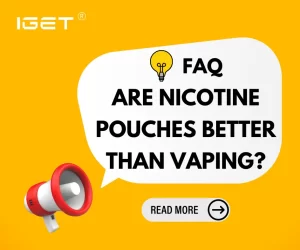 are nicotine pouches better than vaping