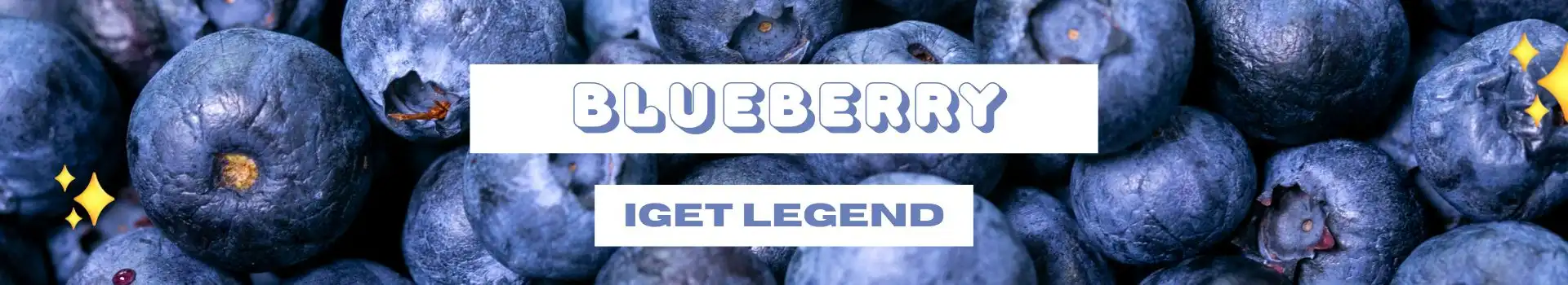 Blueberry IGET Legend Flavours