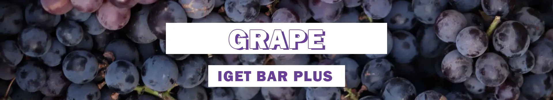 grape iget bar plus flavours