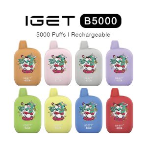 IGET B5000 Rechargeable Vape
