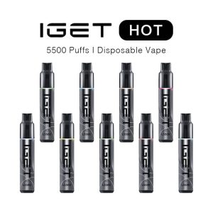 IGET Hot 5500 Puffs