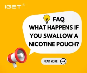 what happens if you swallow a nicotine pouch
